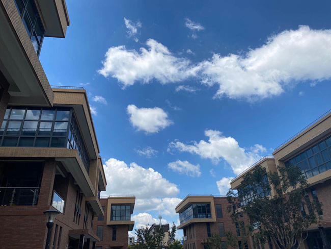 �@�^��(sh��)��չʾ