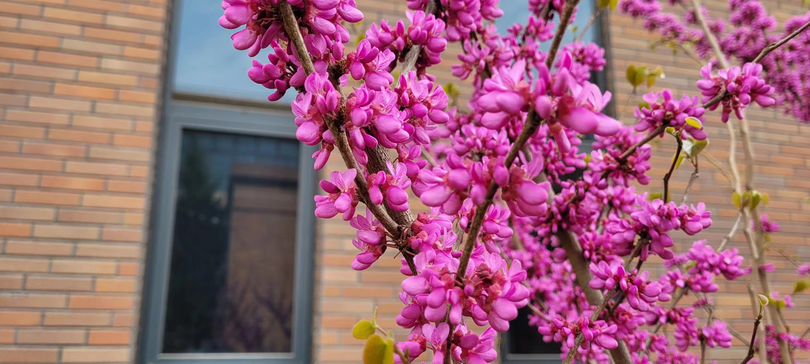 �L(ch��ng)�ſƼ��a(ch��n)�I(y��)�@