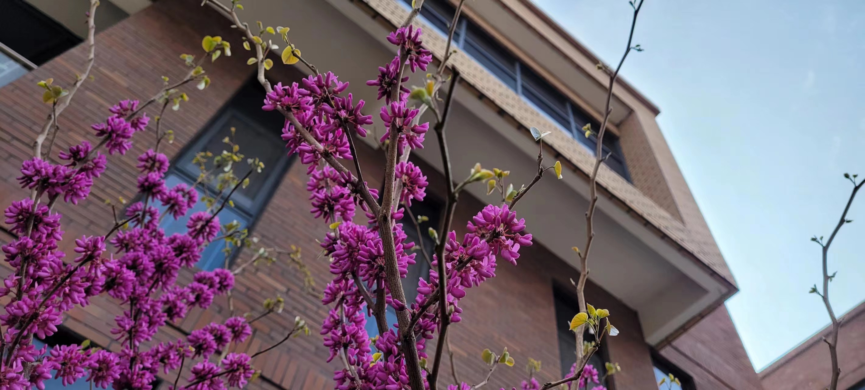 長(cháng)信科技產(chǎn)業(yè)園 長(cháng)信科技產(chǎn)業(yè)園