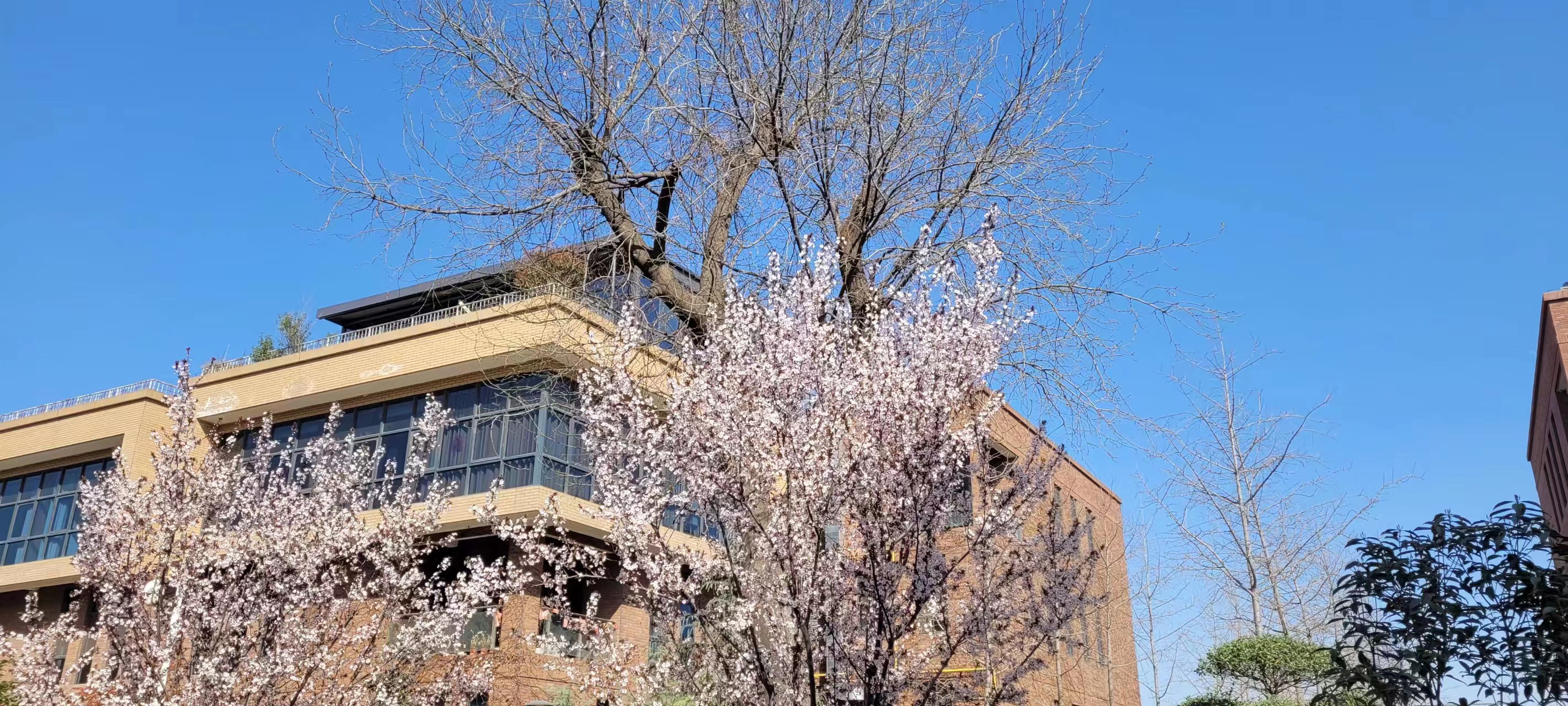 長(cháng)信科技產(chǎn)業(yè)園 長(cháng)信科技產(chǎn)業(yè)園