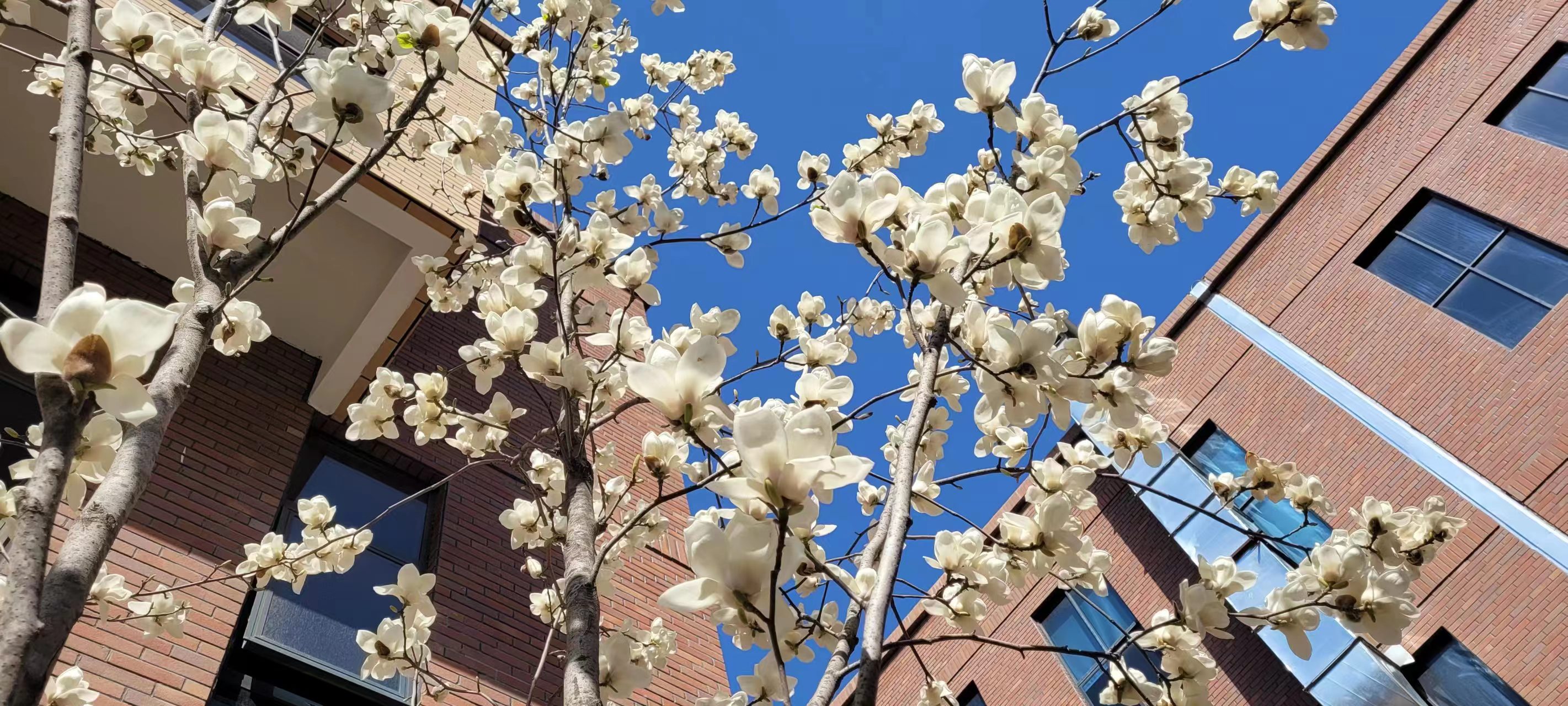 長(cháng)信科技產(chǎn)業(yè)園 長(cháng)信科技產(chǎn)業(yè)園