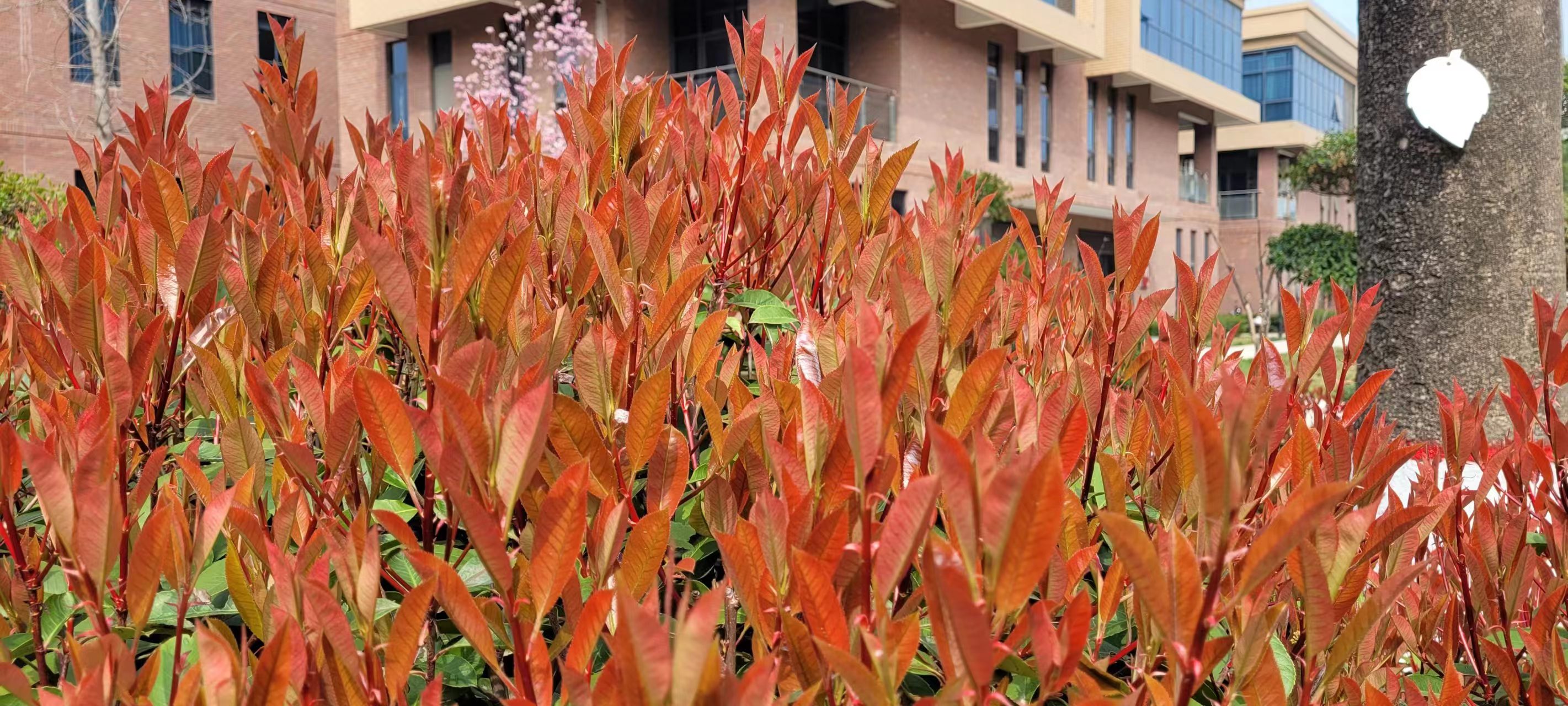 長(cháng)信科技產(chǎn)業(yè)園 長(cháng)信科技產(chǎn)業(yè)園