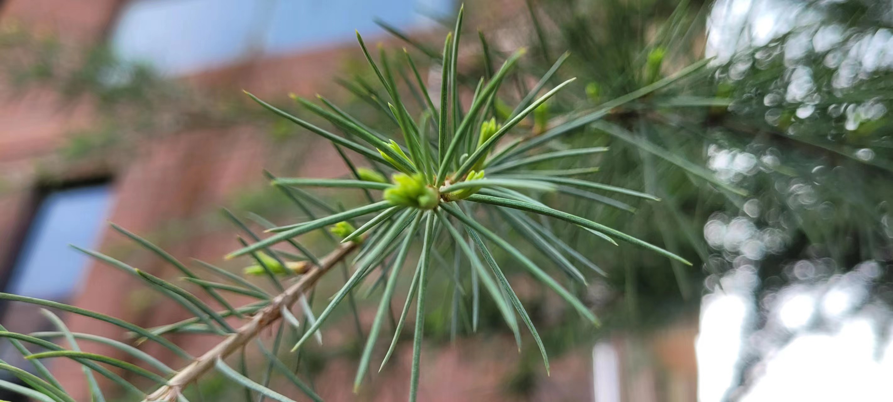 長(cháng)信科技產(chǎn)業(yè)園 長(cháng)信科技產(chǎn)業(yè)園