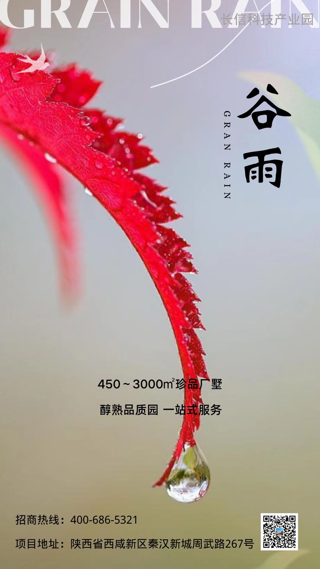 �L(ch��ng)�ſƼ��a(ch��n)�I(y��)�@