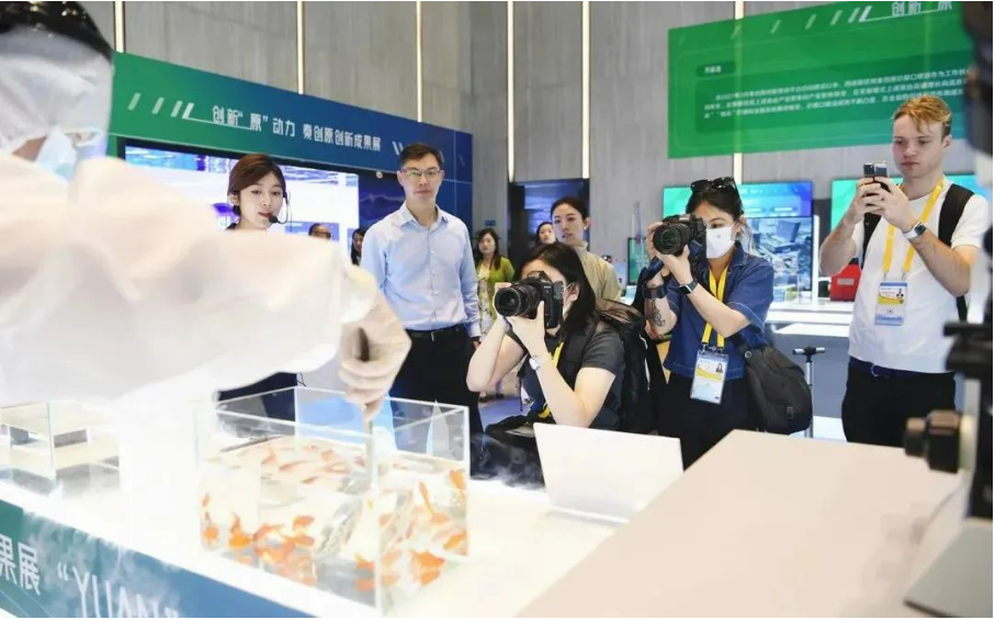 �L(ch��ng)�ſƼ��a(ch��n)�I(y��)�@