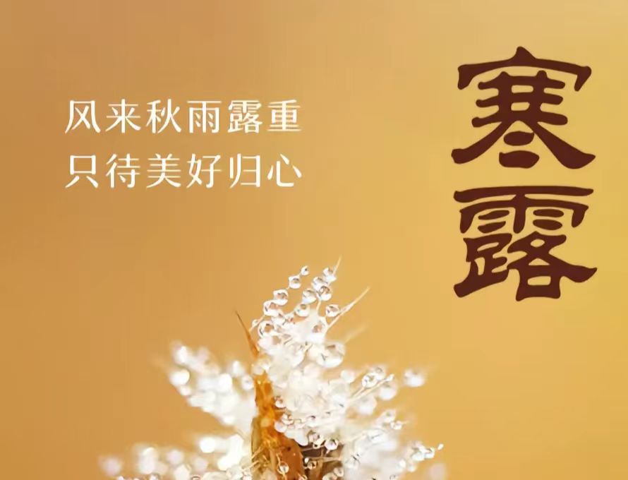 �L(f��ng)��(l��i)����¶����ֻ�����Úw�� ❙ ���պ�¶