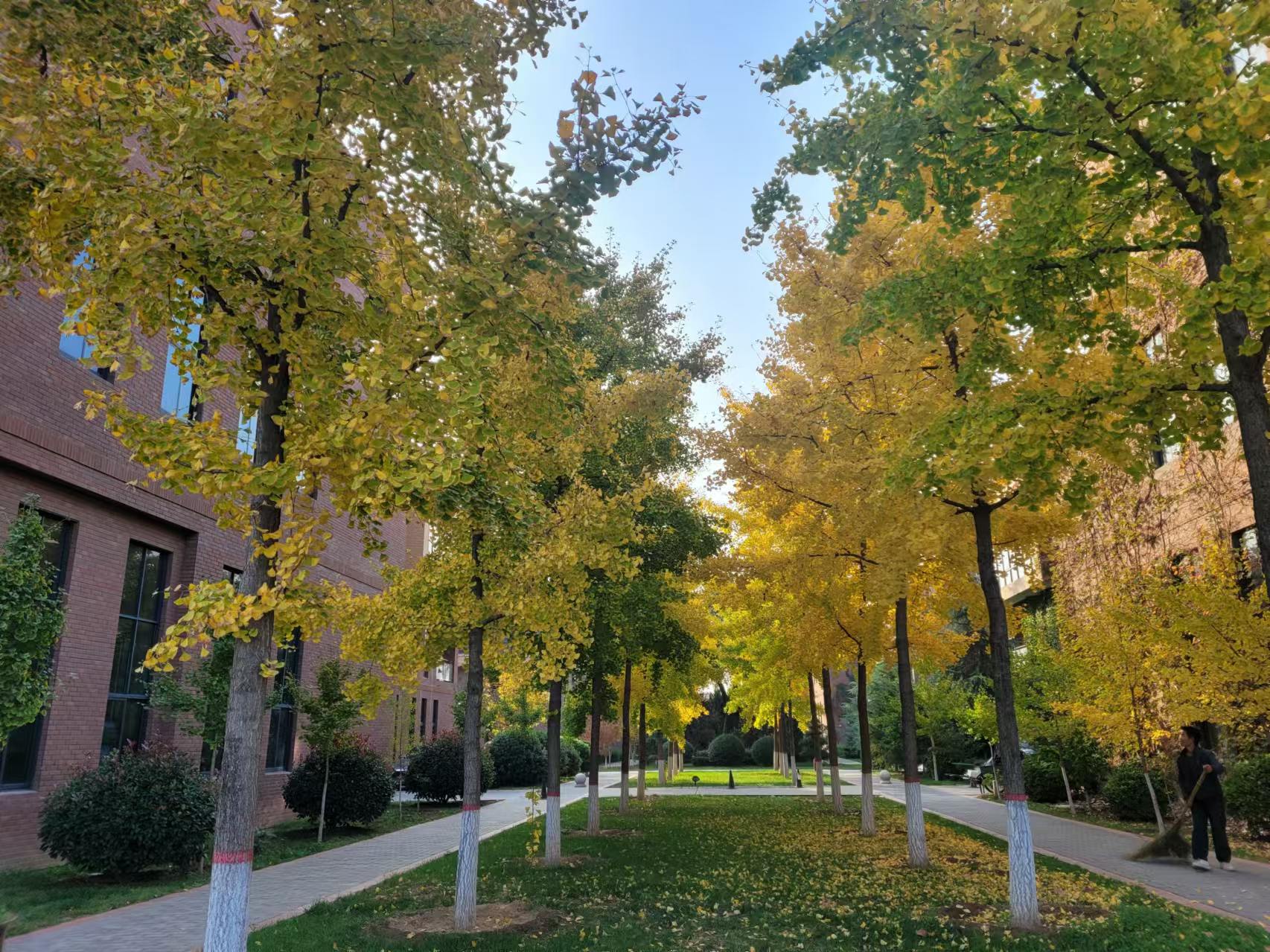 �L(ch��ng)�ſƼ��a(ch��n)�I(y��)�@