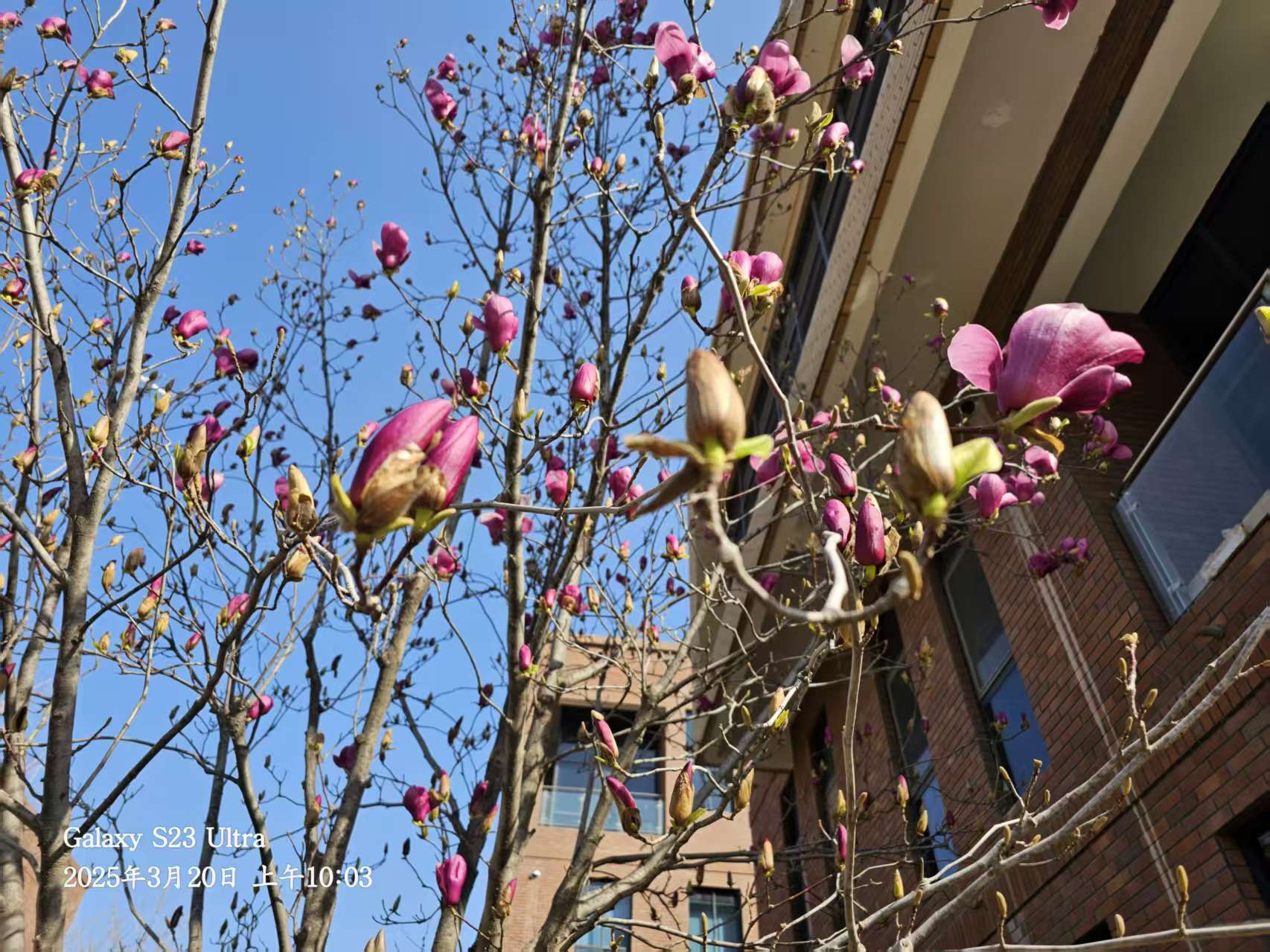 長(cháng)信科技產(chǎn)業(yè)園 長(cháng)信科技產(chǎn)業(yè)園